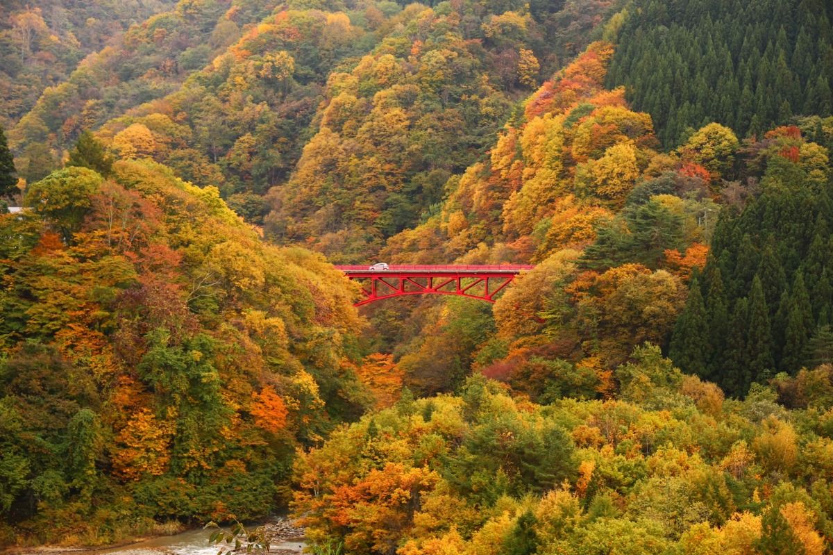緑霞山宿 藤井荘 - 14