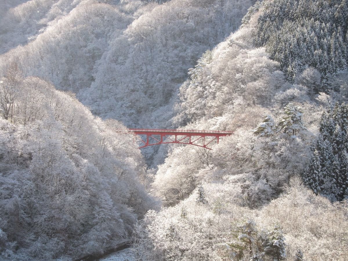 緑霞山宿 藤井荘 - 15