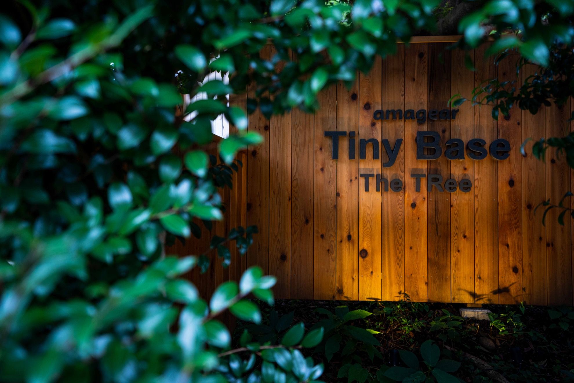 Tiny Base - 21