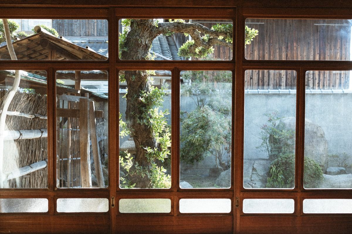 DENIM HOUSE BON - 5