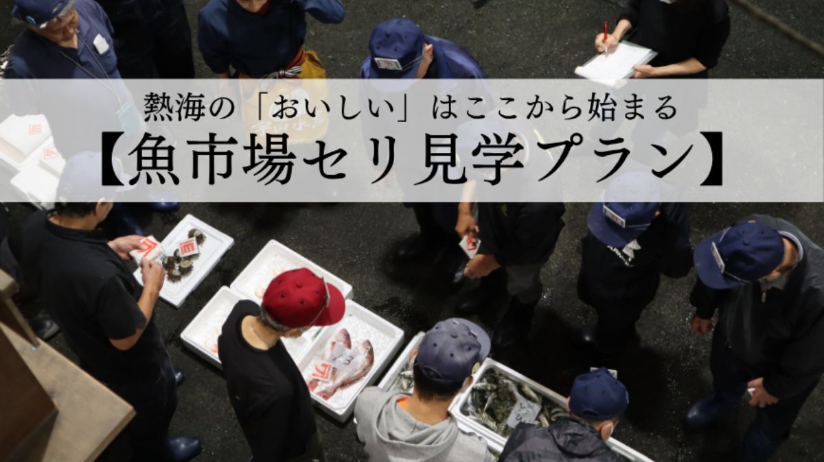 熱海の「おいしい」はここから始まる【魚市場セリ見学プラン】