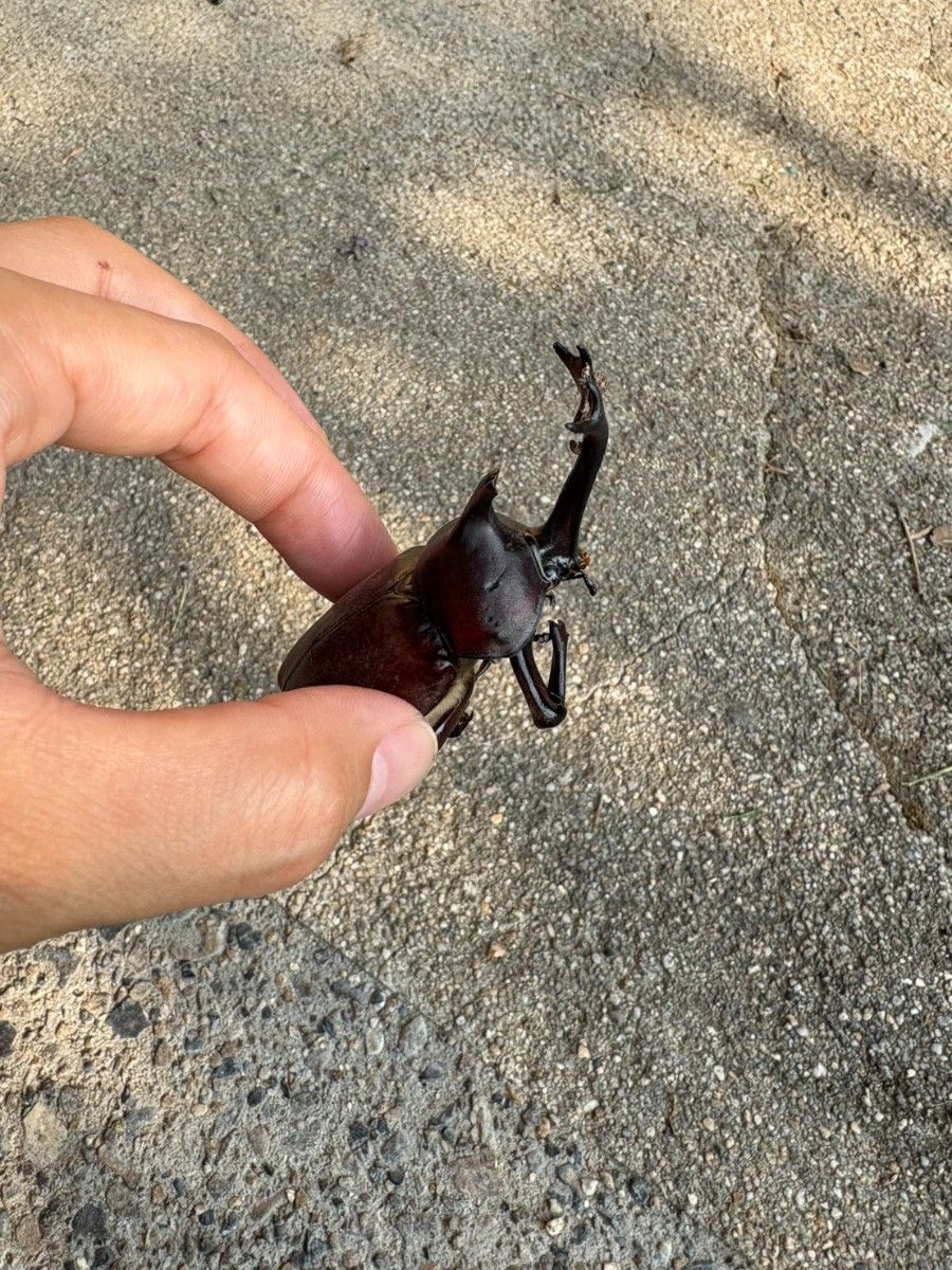 【夏限定】大人はサウナ、子は冒険へ／夏の記憶をつくる旅プラン - 7