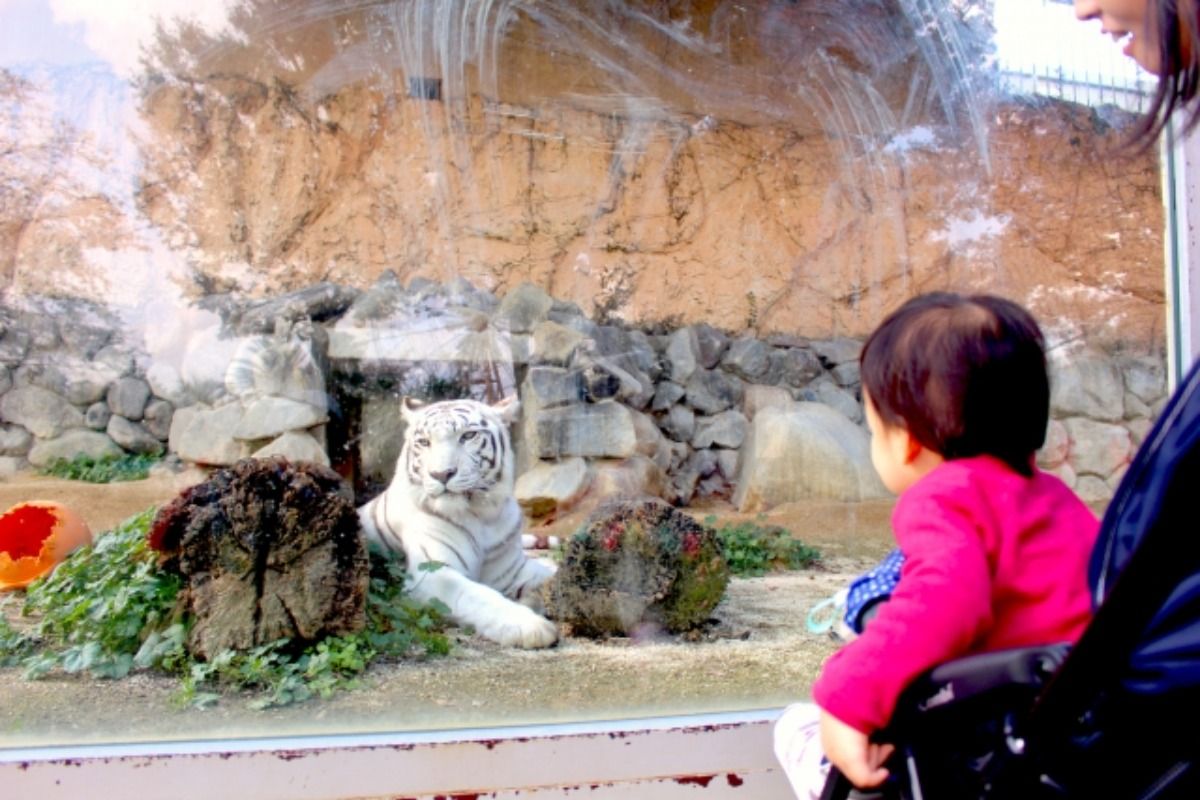 【券はオプションから】東武動物公園へ!<2名様~> - 2
