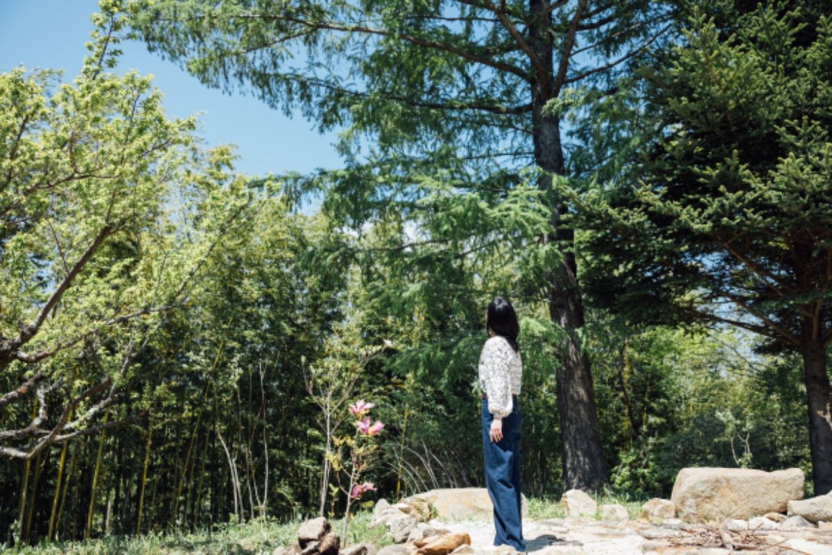 Log「nagare」 - 9