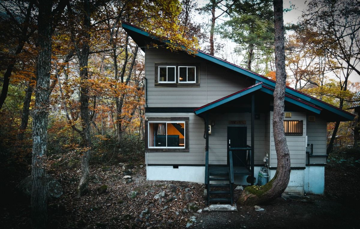 The Shack - 10