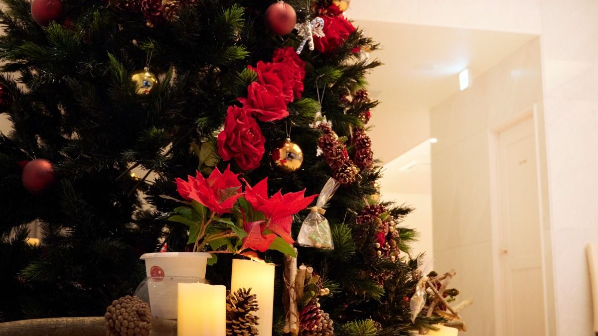 Christmas限定特別ディナー　夕食は選べる３タイプ - 3