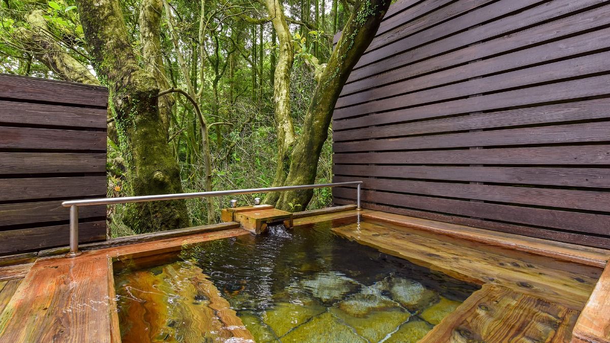 【連泊Stay】指宿の食・SPA・自然を堪能！レストラン満喫 - 5