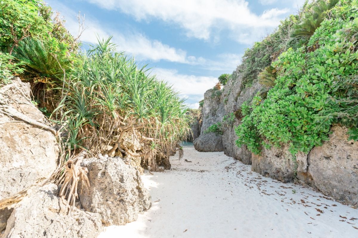 【事前決済】気ままに島の時間を過ごす旅