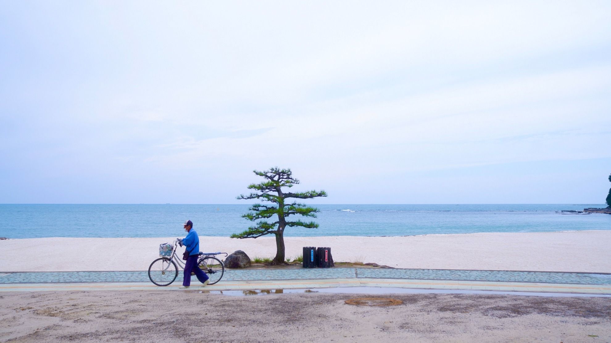 Guest Living Mu 南紀白浜 - 4