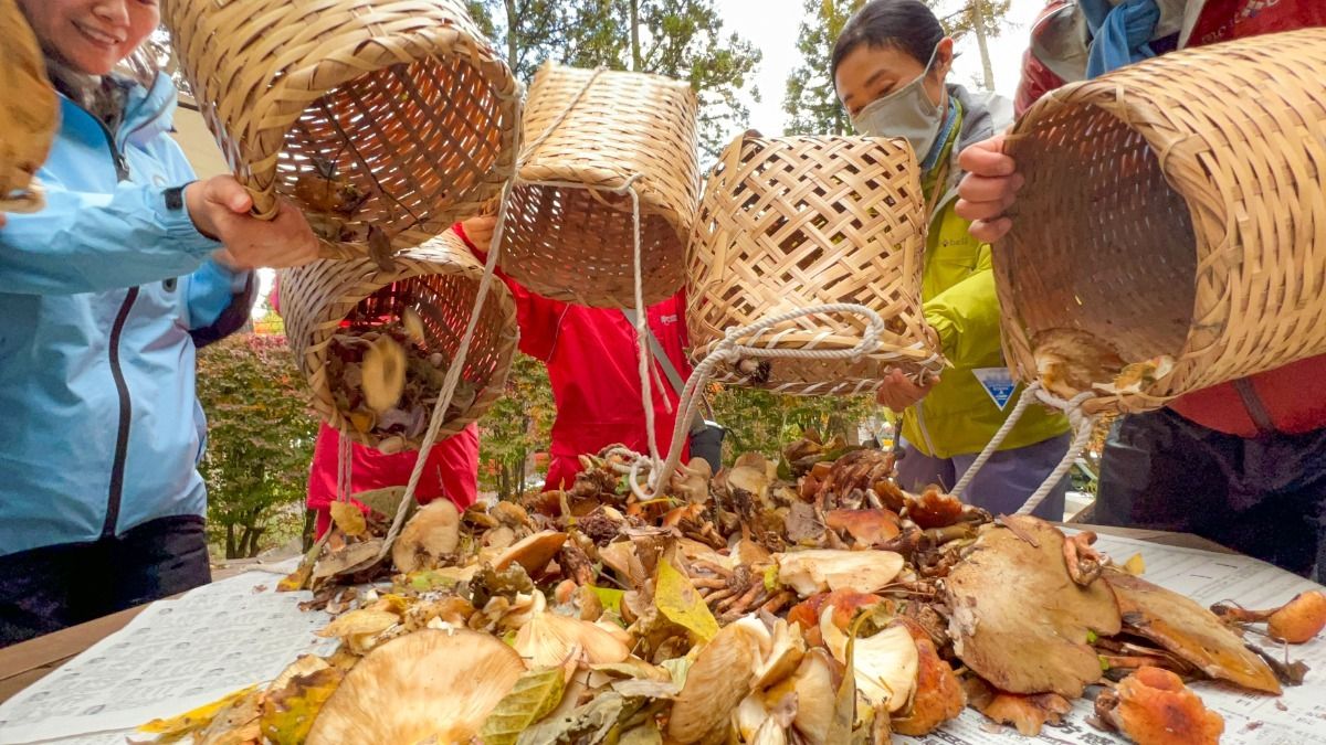 【1日1組限定!】きのこの秋、サウナの秋、LAMPの秋 - 1