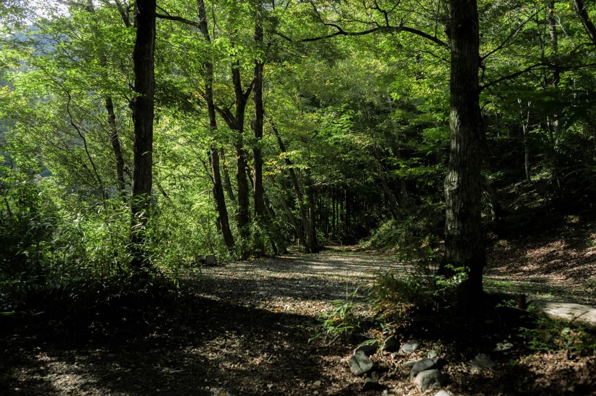 DAICHI silent river - 3