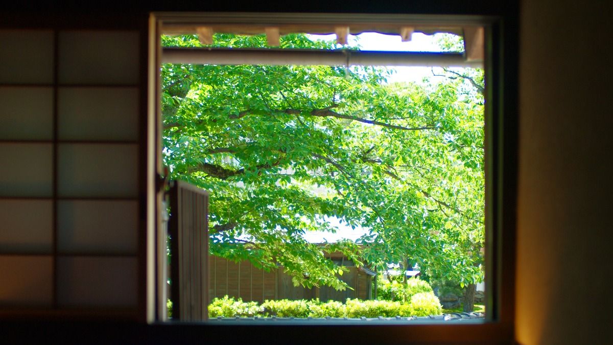 白10周年記念!8月の宿泊が10%OFF - 1
