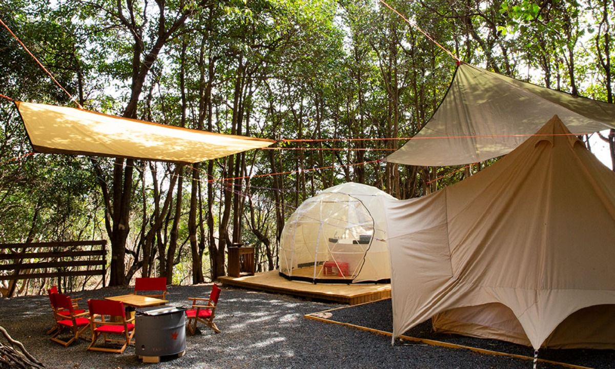 TASO FOREST CAMP|モンブラン