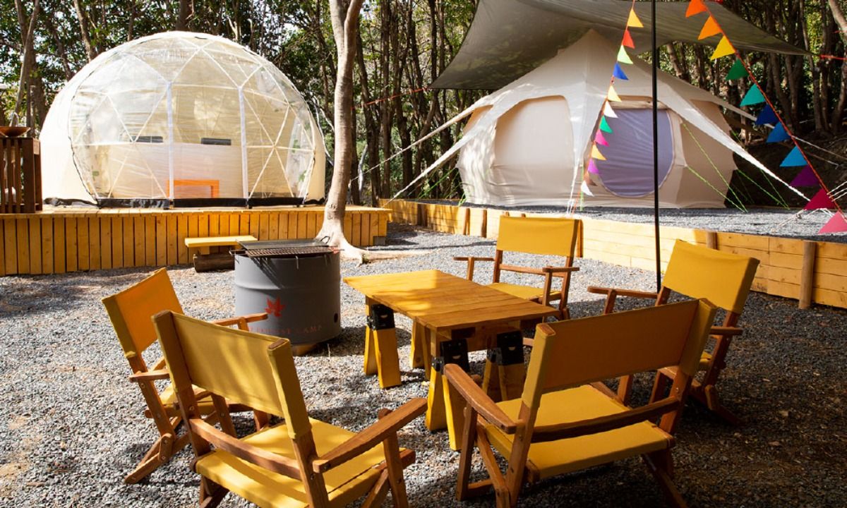 TASO FOREST CAMP|パンプキン