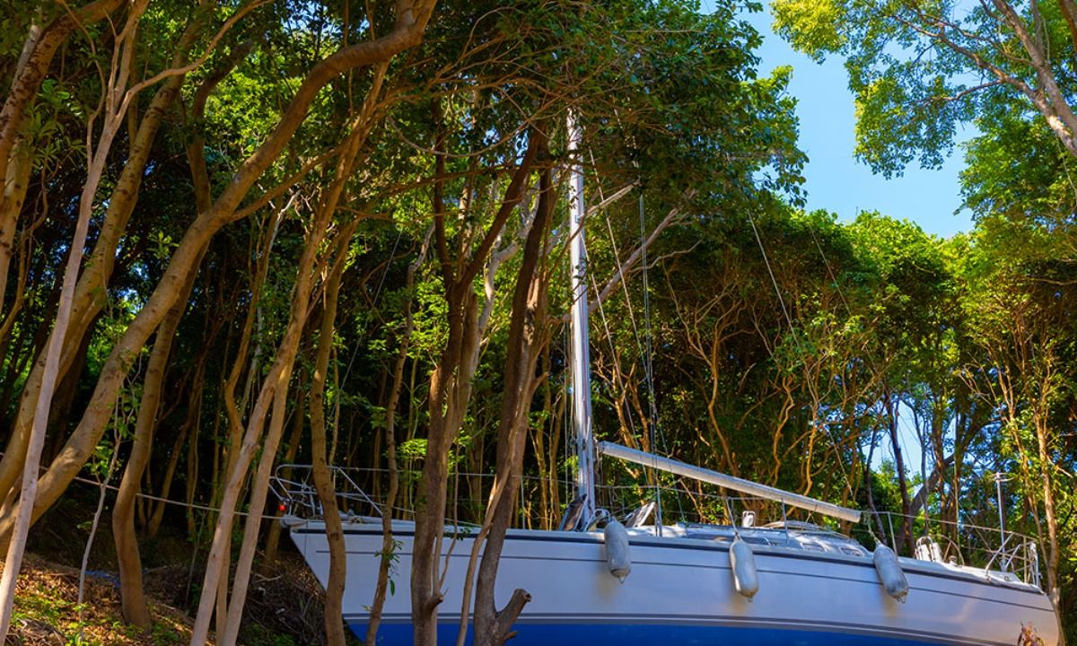 TASO FOREST MARINA|デヘラー