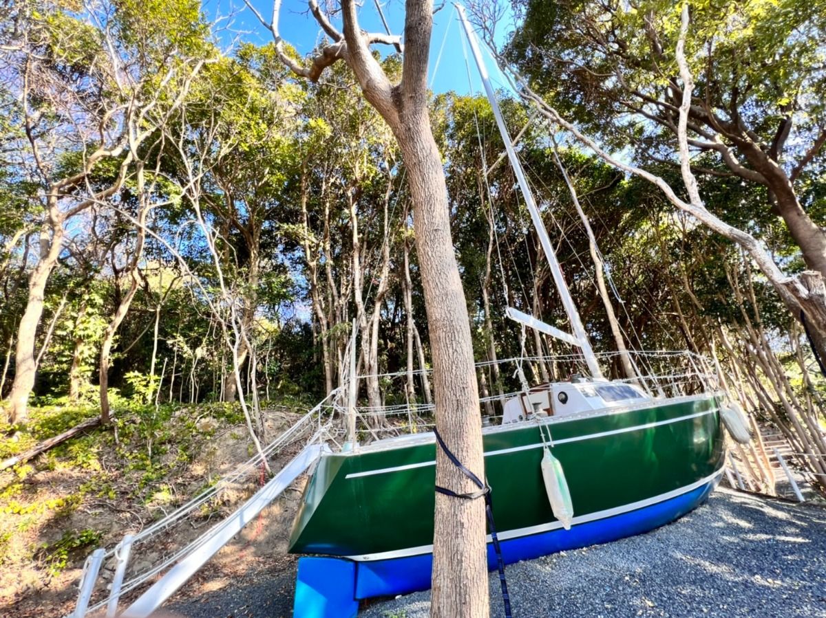 TASO FOREST MARINA|ピーターソン - 3