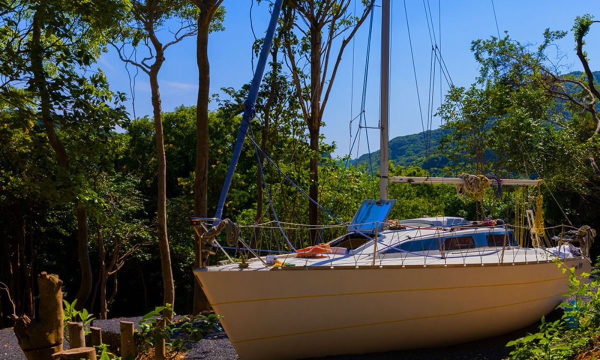TASO FOREST MARINA｜ヤマハ - 2