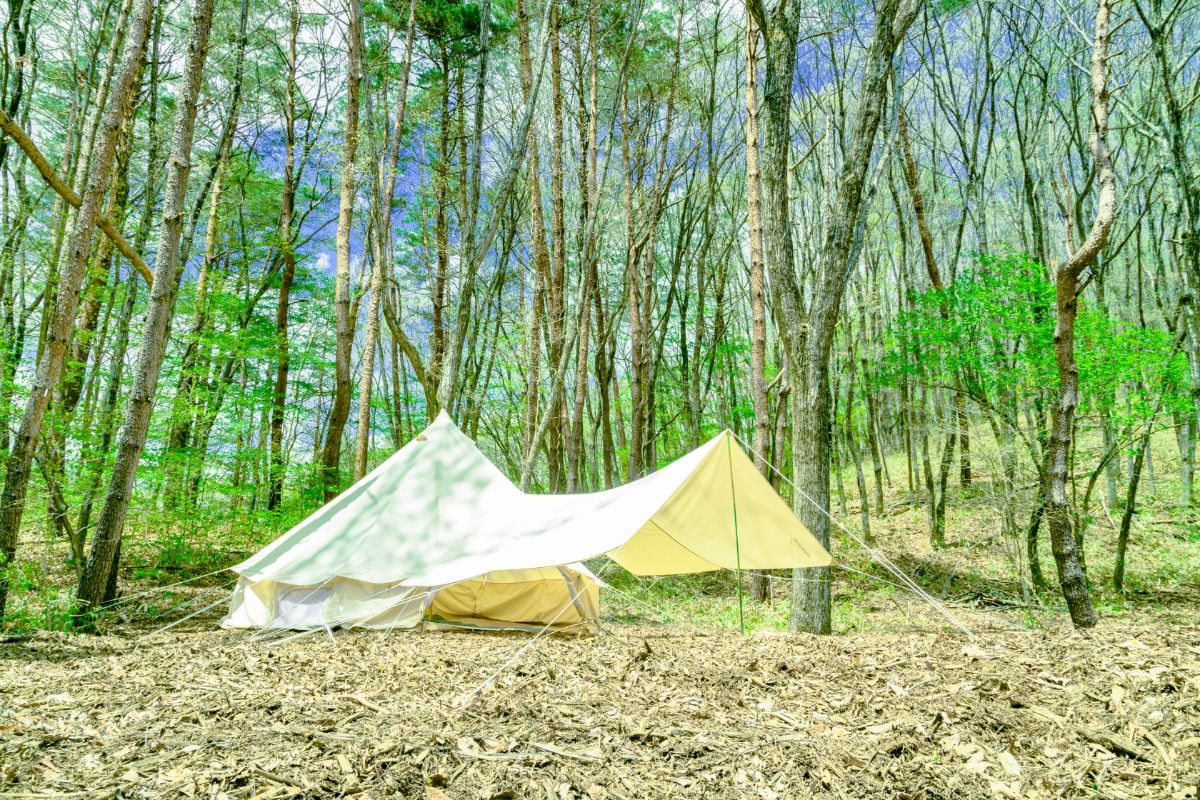 くれさかの森キャンプ場　mamori - 3