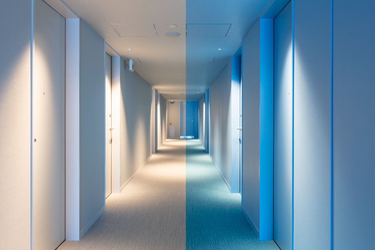 light blue