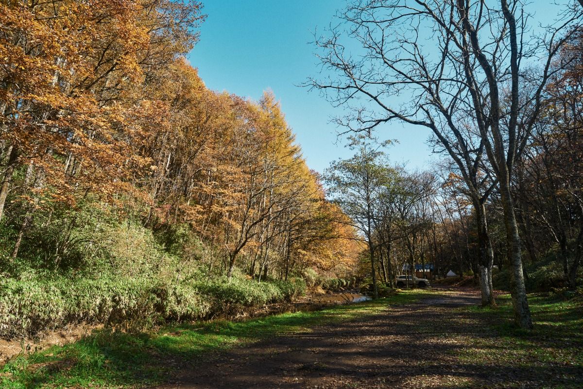 River B【川の流れと木々をゆらす風を感じる】 - 1