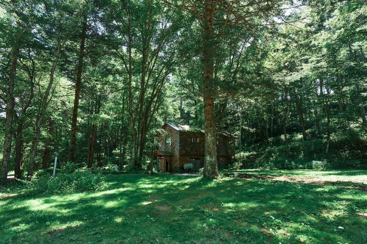 Garden【過ごしやすい天然芝のサイト】 - 1