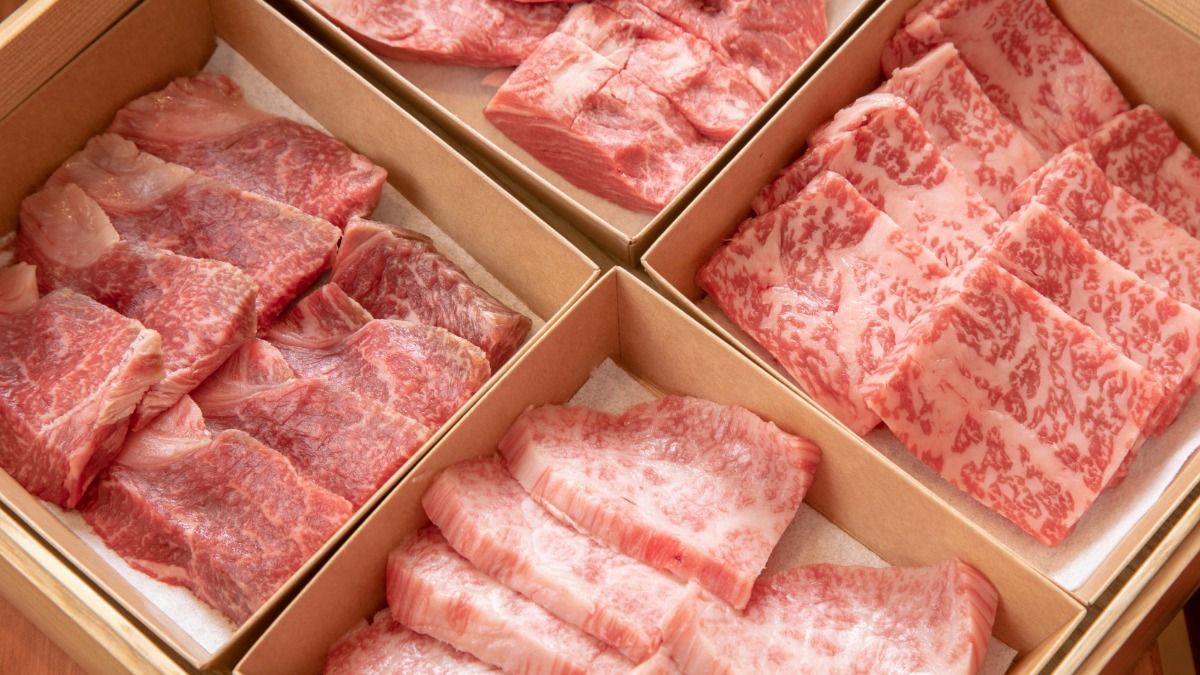 【グランピング】1泊2食付きOPEN記念プラン（3大特典付） - 2