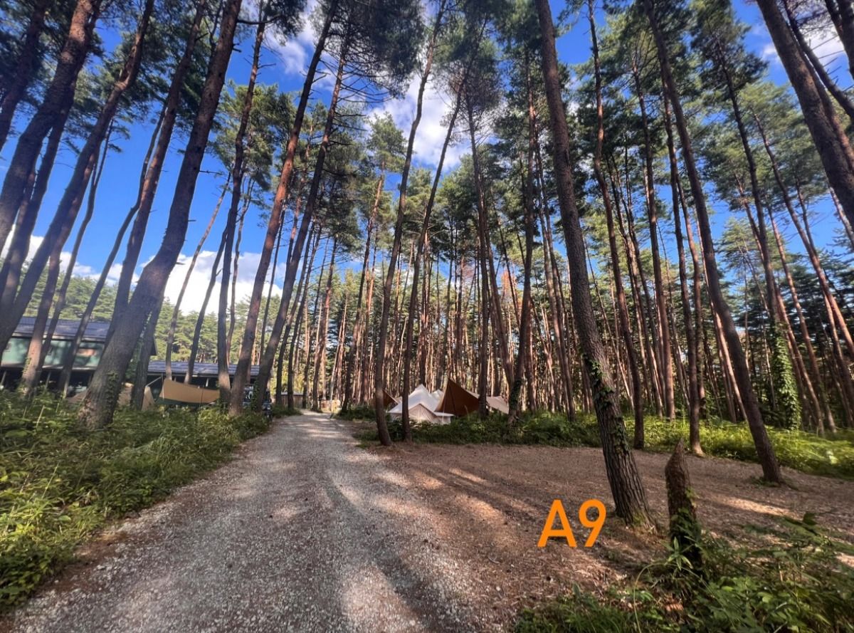 【A9】VILLAGE AC電源付きレギュラーサイト - 3