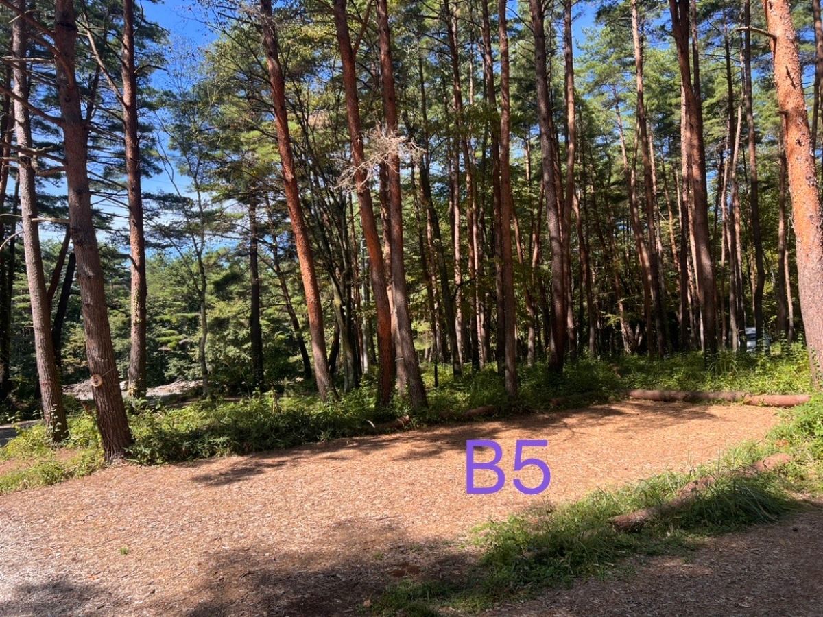 【B5】VILLAGE レギュラーサイト - 2