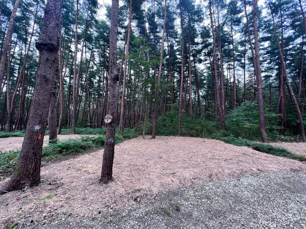 FOLKWOOD VILLAGE ⼋ヶ岳