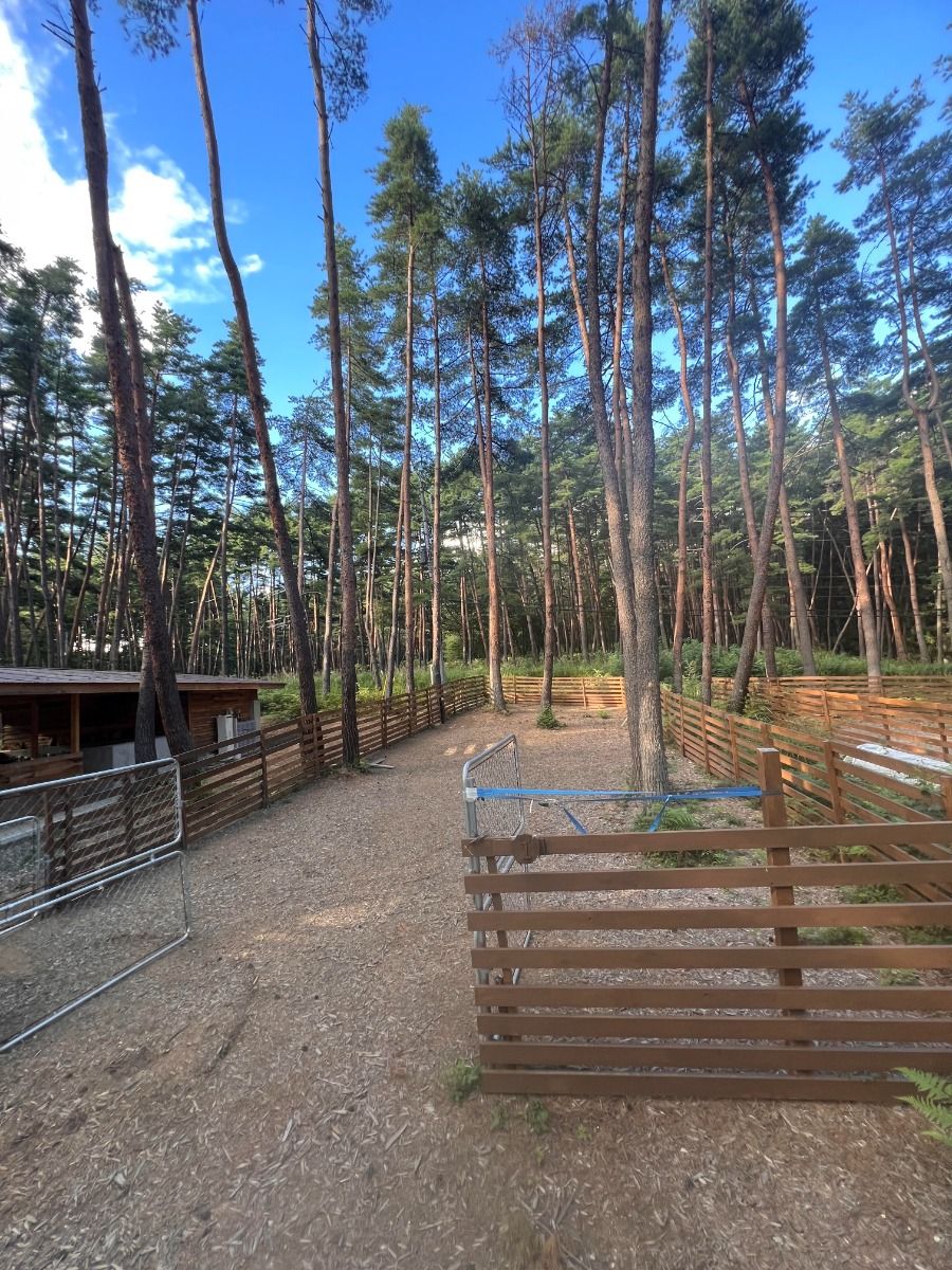FOLKWOOD VILLAGE ⼋ヶ岳