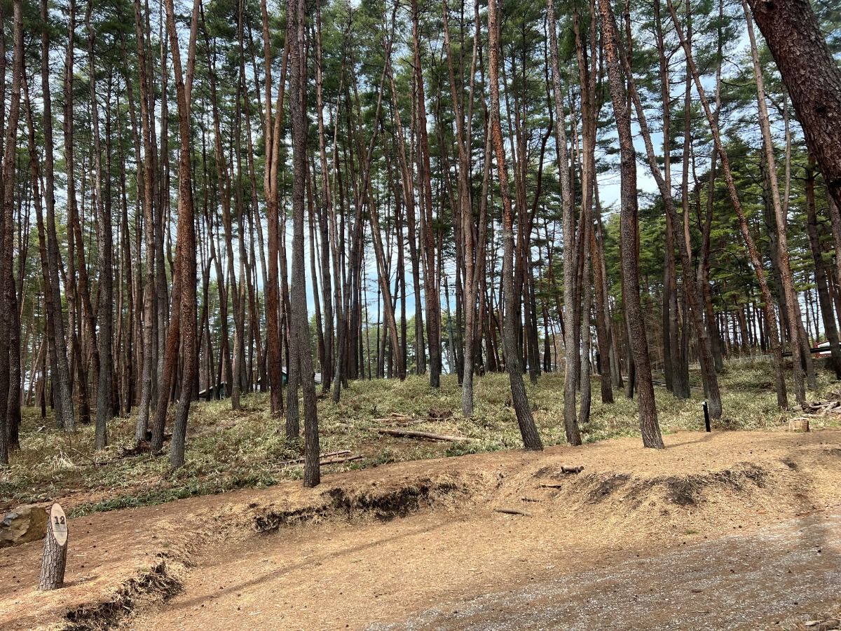 FOLKWOOD VILLAGE ⼋ヶ岳