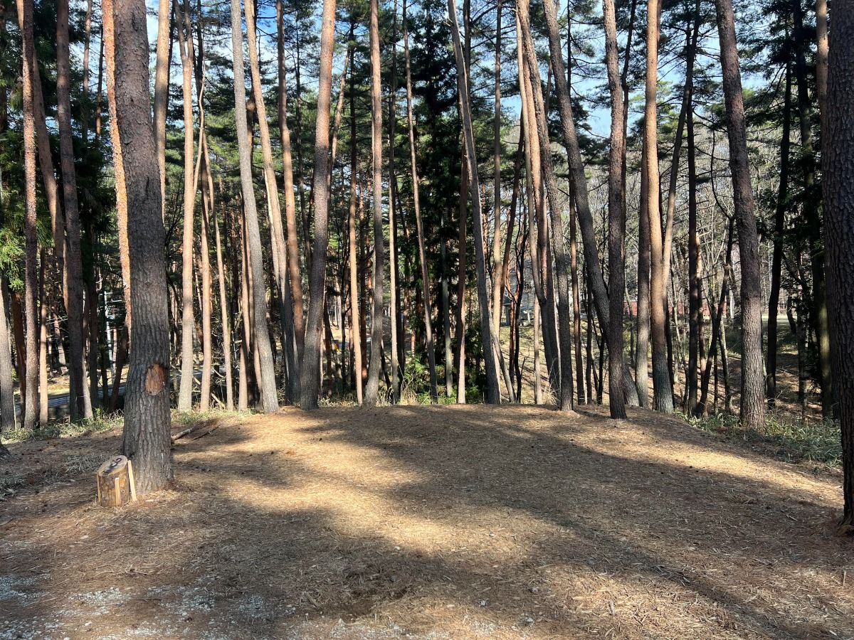 FOLKWOOD VILLAGE ⼋ヶ岳