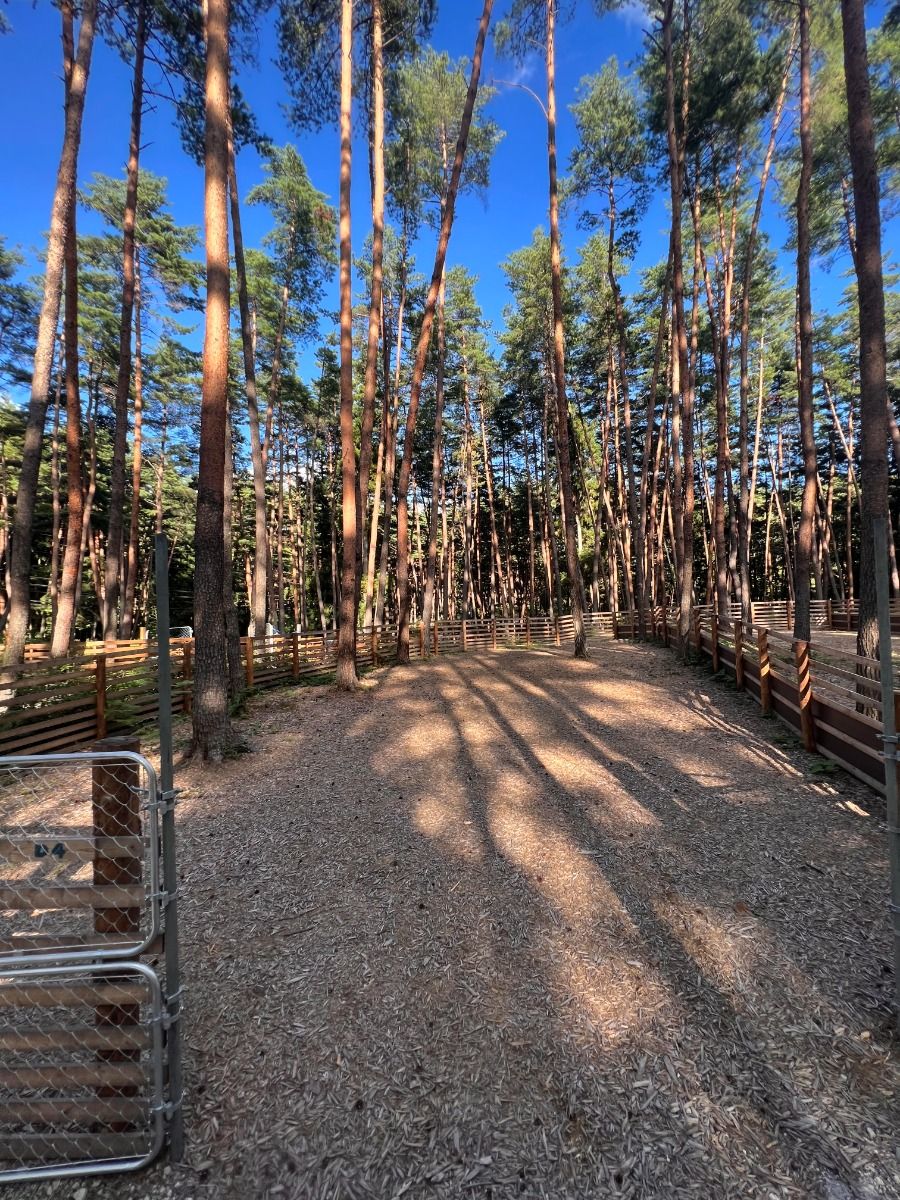 FOLKWOOD VILLAGE ⼋ヶ岳