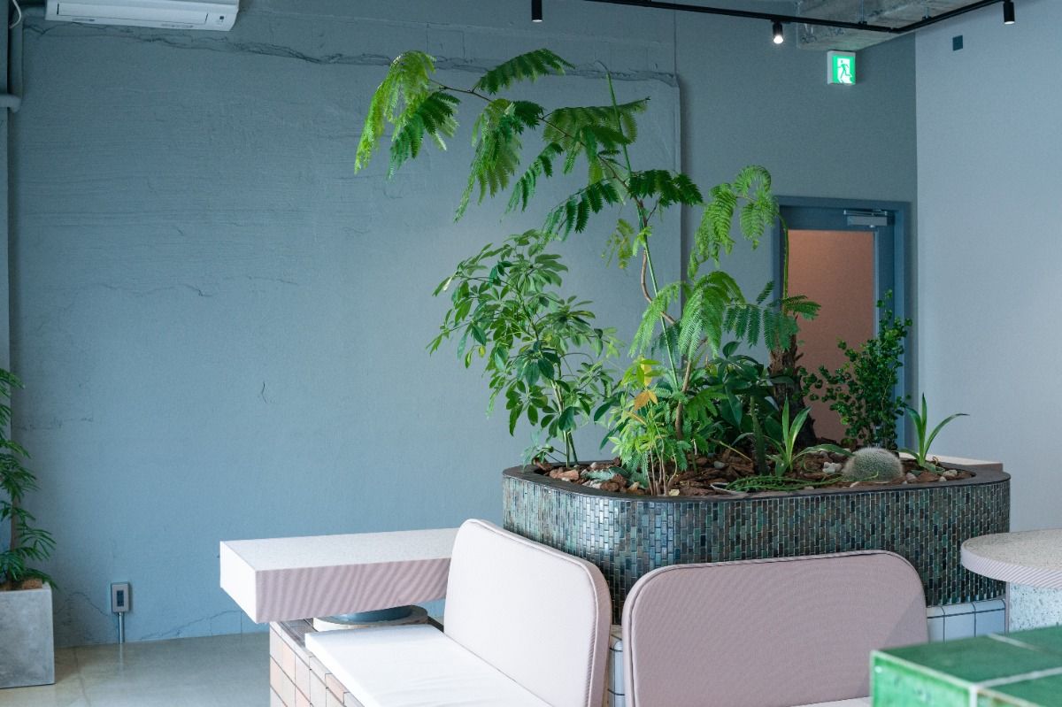 【Women Only】Spacious Capsule, Upper Level - 2