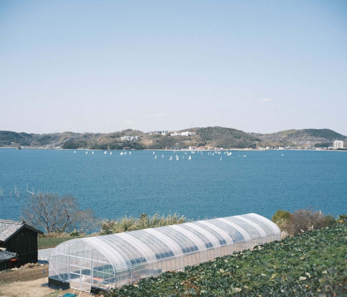 Tohito｜Setouchi - 7