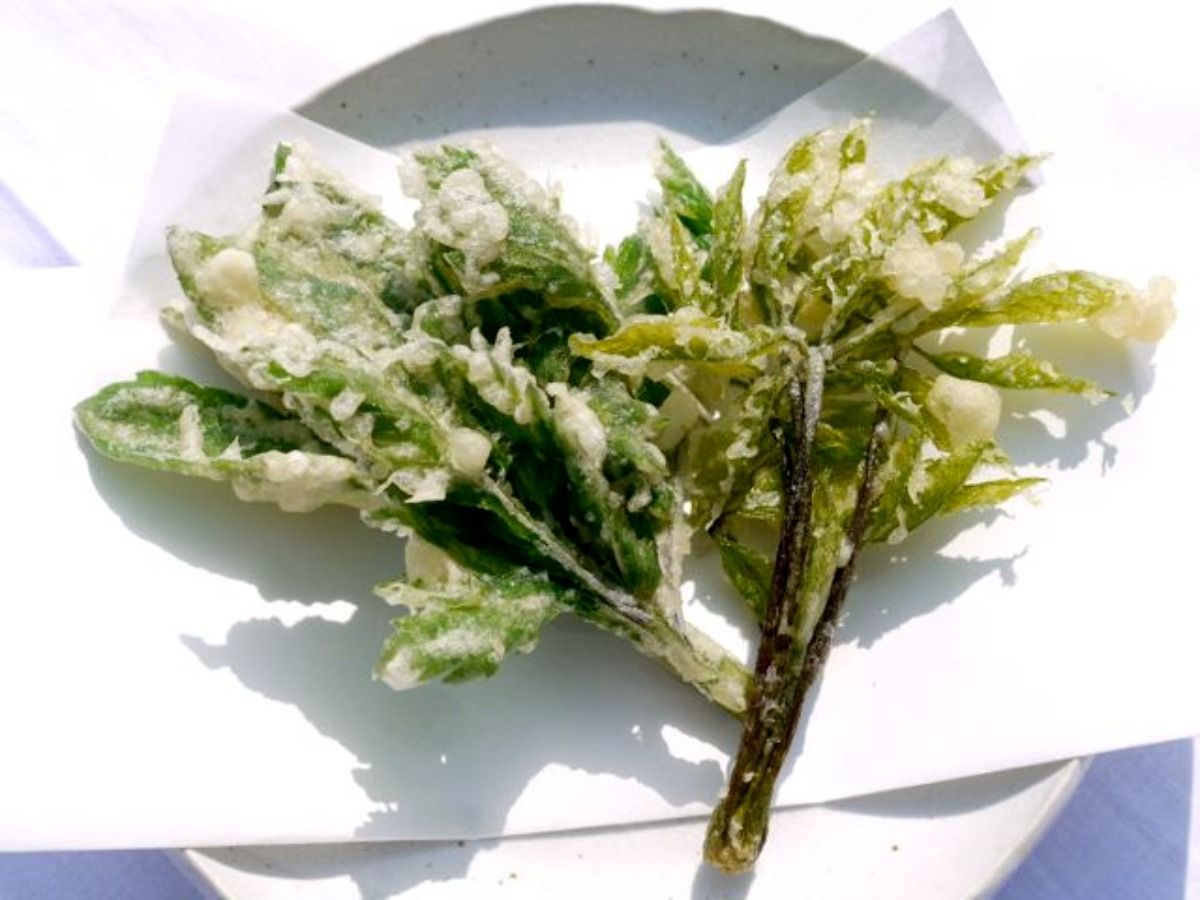 [May-June only] Taste wild vegetables with 1 night stay and 2 meals [Special wild vegetable cuisine plan] - 2