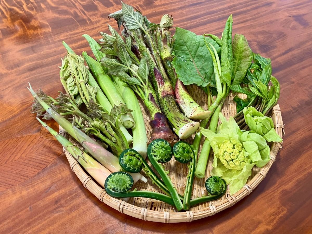 [May-June only] Taste wild vegetables with 1 night stay and 2 meals [Special wild vegetable cuisine plan] - 3