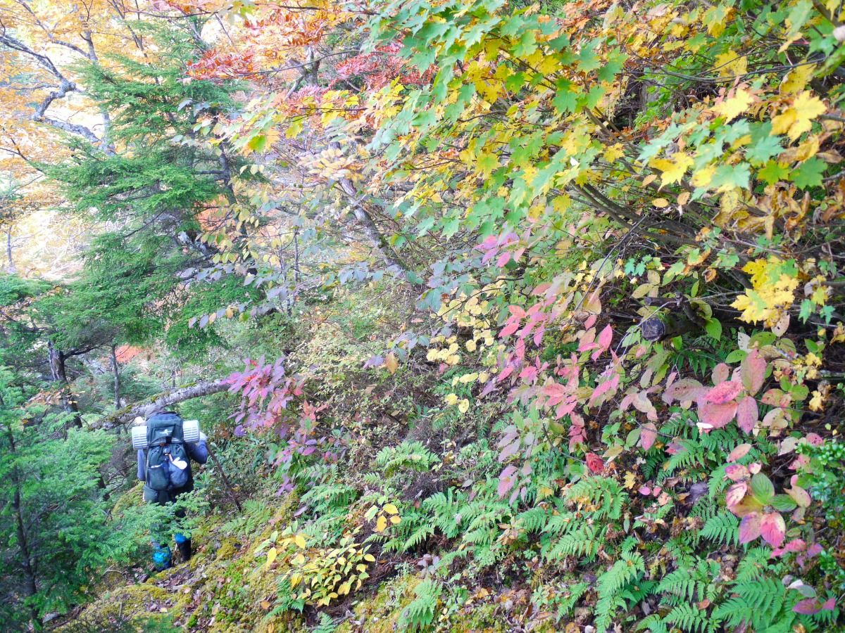 【登山者向け】秋山郷で登山を楽しむ　おにぎり付きプラン - 5