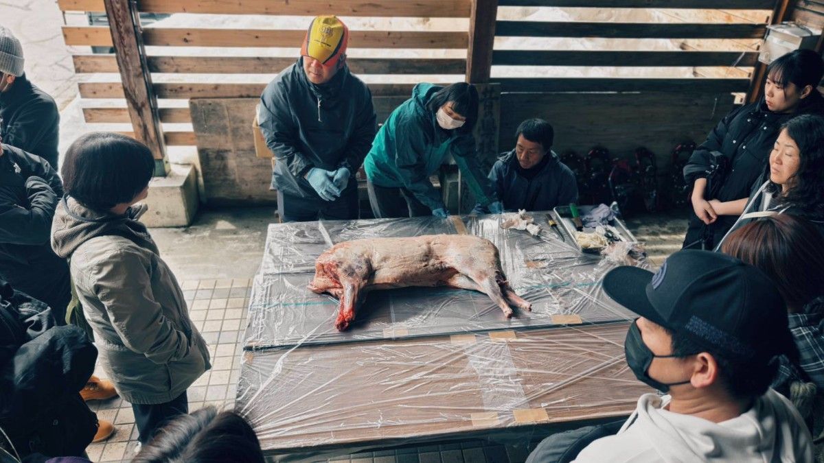 【4/18限定】地元猟師とイノシシを解体して食べる 1泊2日 - 4
