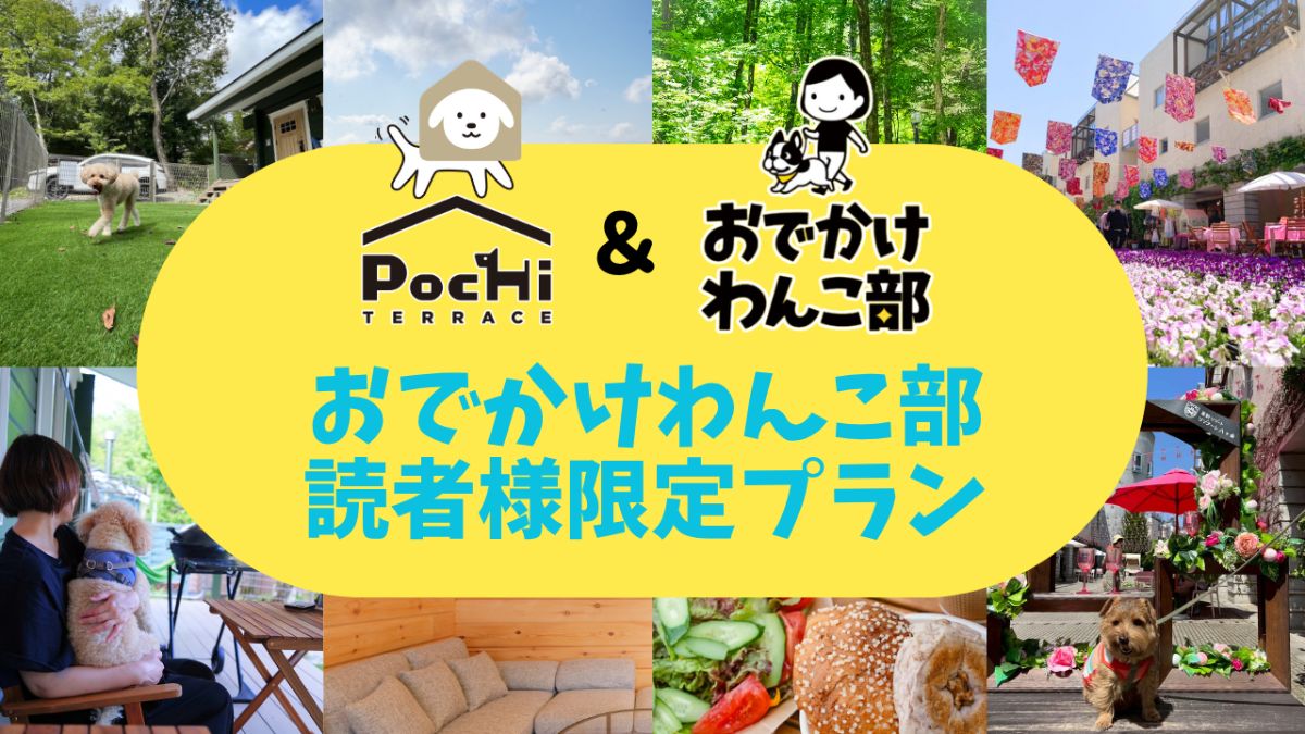 ★おでかけわんこ部★読者様★限定プラン2026