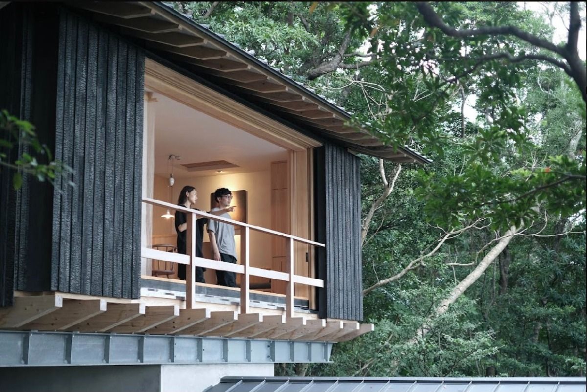 今帰仁石蕗 | Nakijin  Tsuwabuki