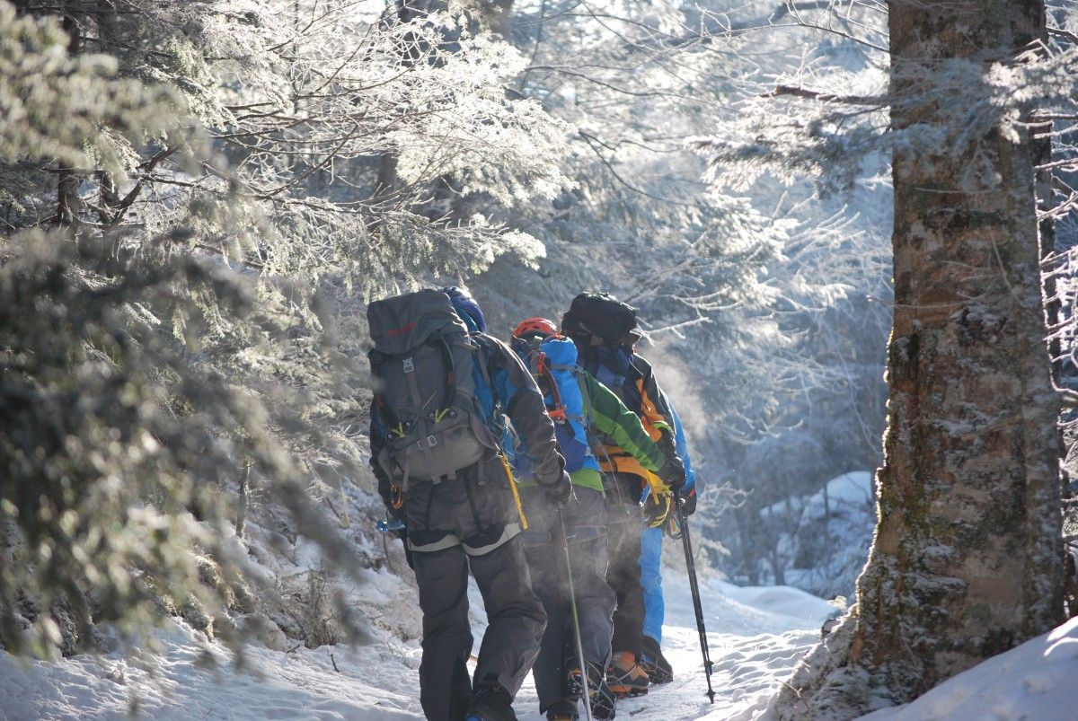 【10% Off Multi-Night Stay】Tateshina Stay Plan for 2+ Days for Hiking, Skiing, and More - 5