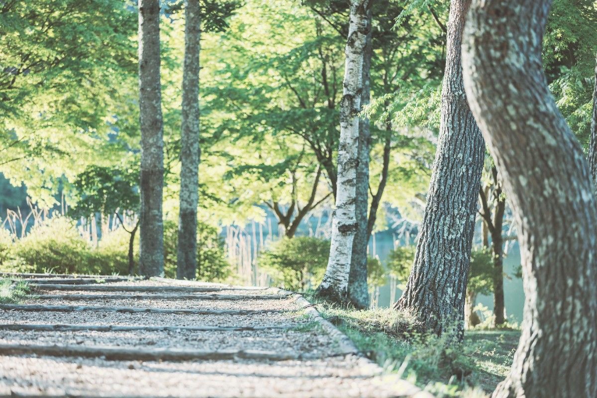 【Room Only】Basic Plan for Having Fun of Tateshina Sightseeing