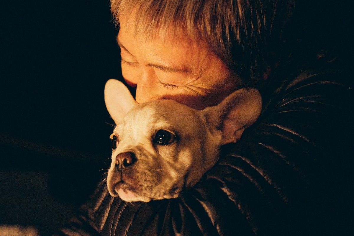 HILLSIDE 302（ペット可） - 11