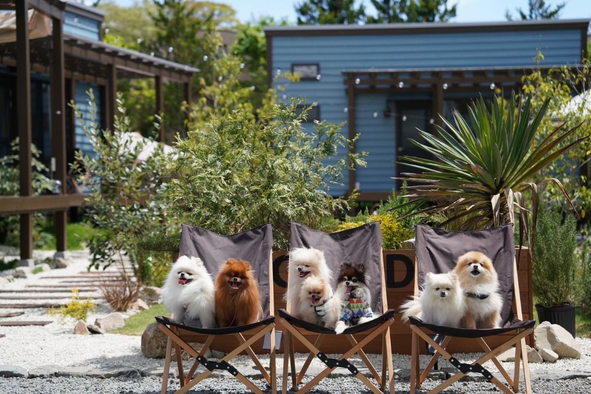 R GARDEN