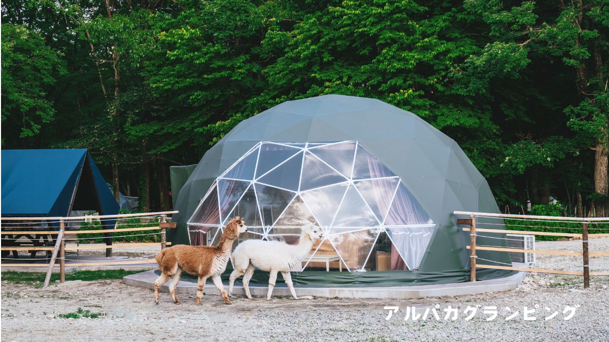 お子様無料!【遊園地入園無料】1泊2食付き - 5