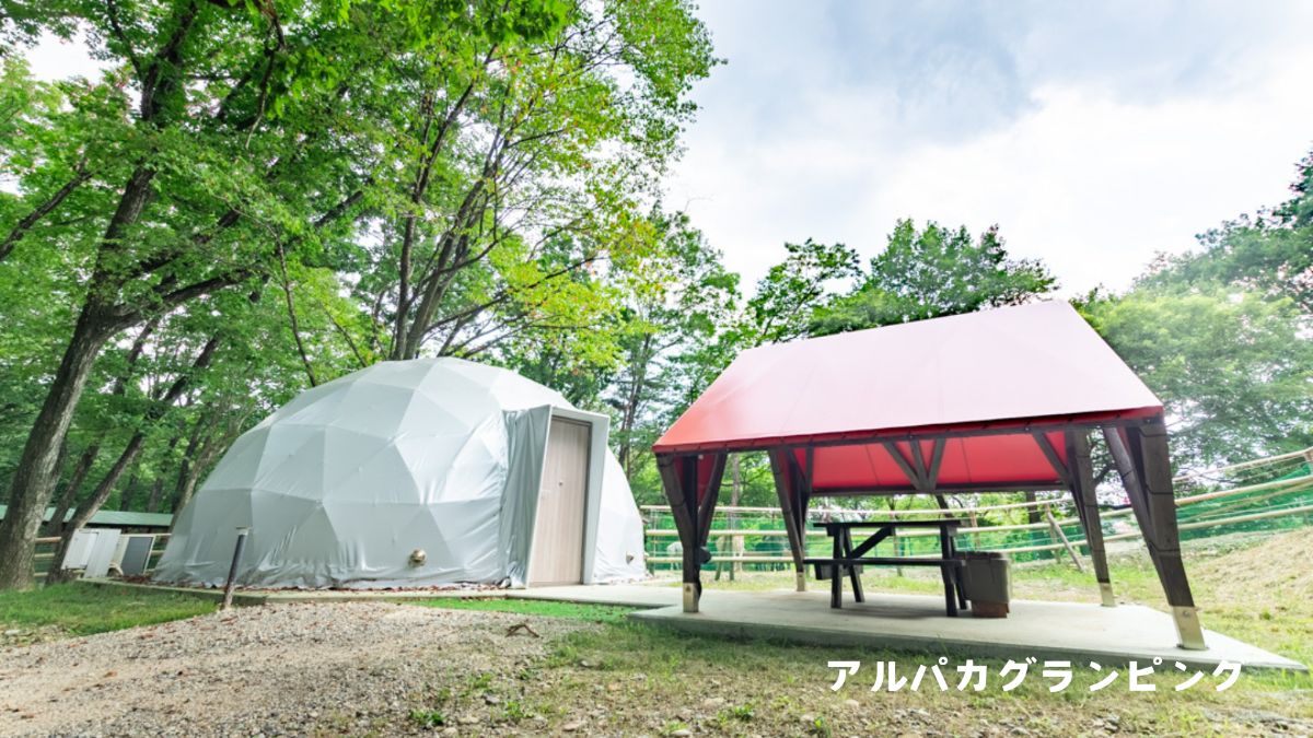お子様無料!【遊園地入園無料】1泊2食付き - 6