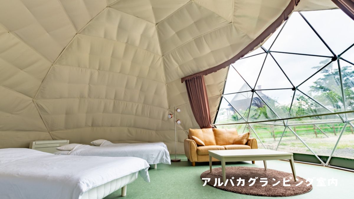 お子様無料!【遊園地入園無料】1泊2食付き - 7