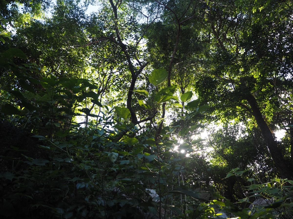 Yama’oto - 2