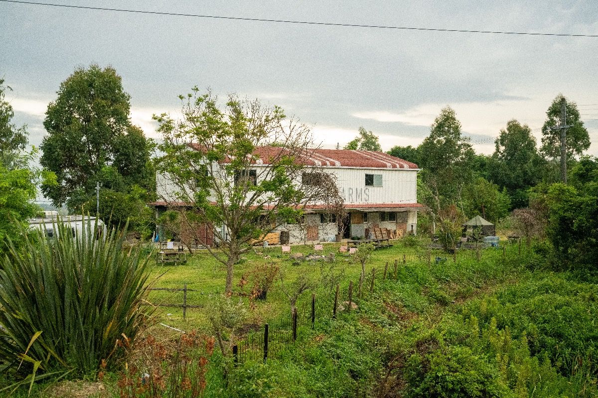 GREENS FARMS -FARM and STAY- - 12